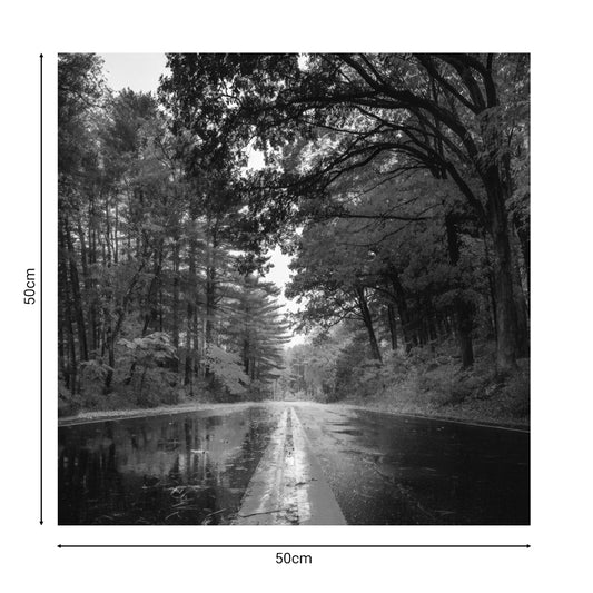 Πίνακας σε Καμβά Savgone Ψηφιακής Εκτύπωσης 50x1.8x50