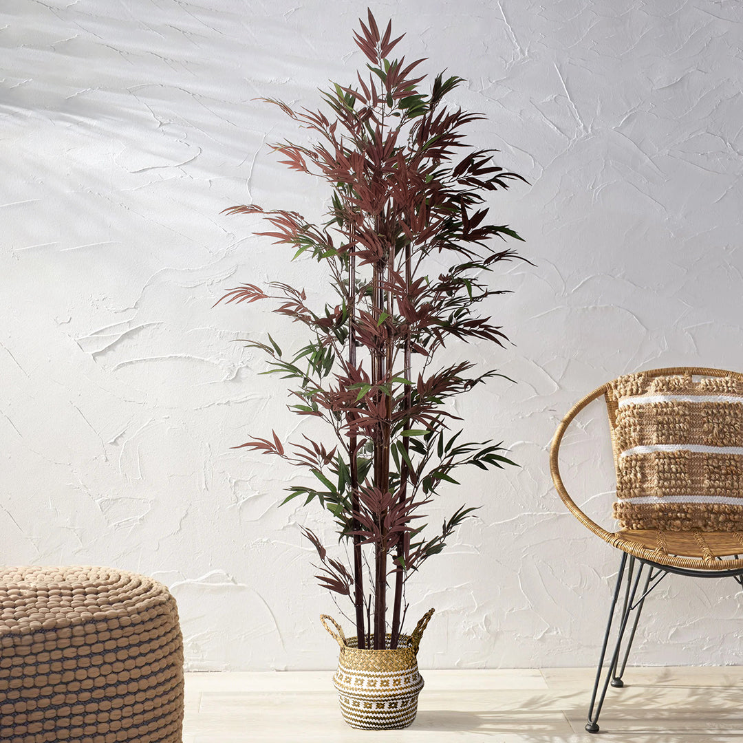 BLOODLEAF BAMBOO 20039 Τεχνητό Διακοσμητικό Φυτό Αιματόφυλλο Μπαμπού Υ170cm