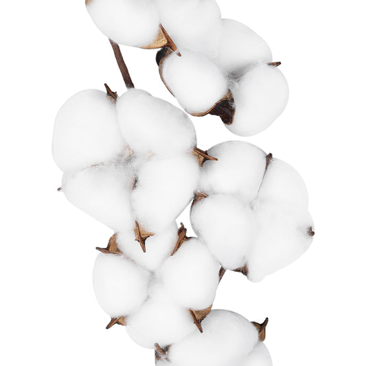 COTTON BRANCH 20558 Τεχνητό Διακοσμητικό Κλαδί βαμβάκι Υ45cm