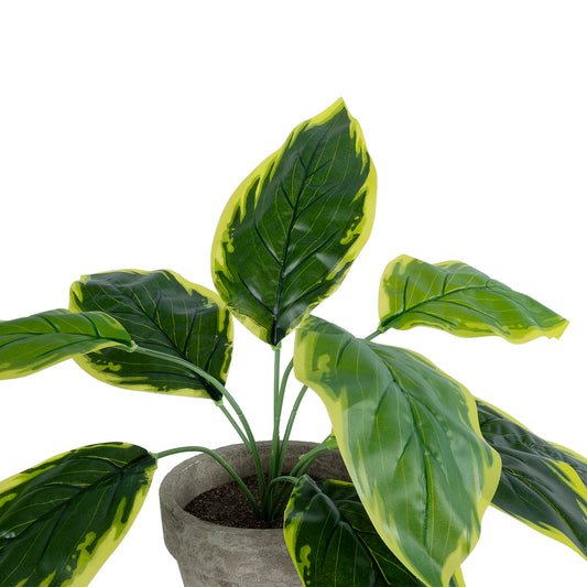 YELLOW HOSTA PLANT 20899 Τεχνητό Διακοσμητικό Φυτό Κίτρινη Χόστα Φ45 x Υ40cm