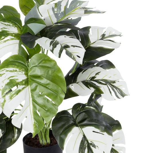 ALBINO MONSTERA PLANT 20925 Διακοσμητικό Φυτό Λευκή Μονστέρα Φ70 x Υ75cm