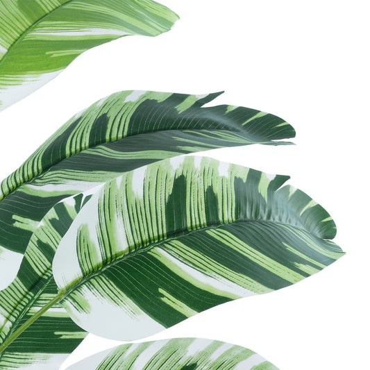 BANANA PLANT ZEBRA 20929 Διακοσμητικό Φυτό Μπανανιά Ζέβρα Φ70 x Υ55cm