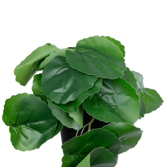 STRAWBERRY PLANT 20951 Διακοσμητικό Φυτό Φράουλα Φ23 x Υ16cm