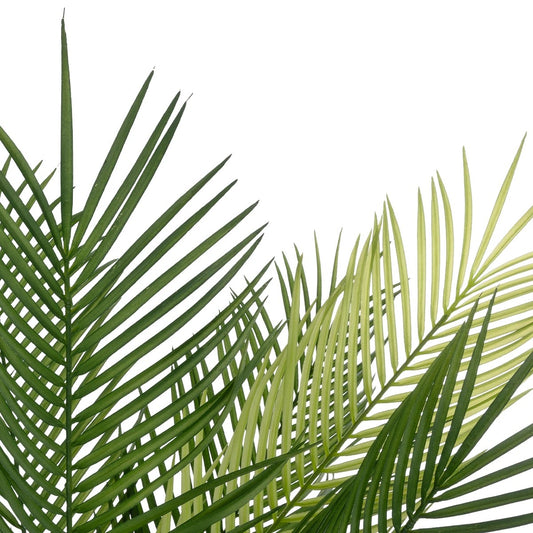 PALM TREE 21153 Τεχνητό Διακοσμητικό Δέντρο Φοίνικας Μ100 x Π50 x Υ90