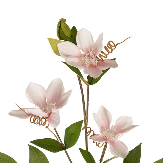PALE PINK CLEMANTIS BRANCH 21332 Τεχνητό Διακοσμητικό Κλαδί Ροζ Κλημεντίνα Y80cm