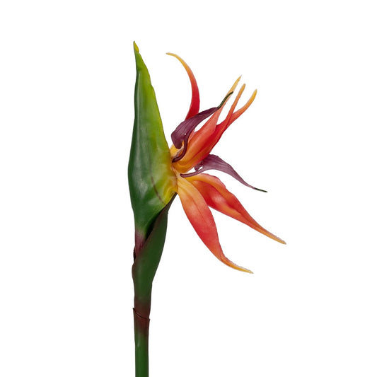 ORANGE STELIZIA BRANCH 21399 Τεχνητό Διακοσμητικό Κλαδί Πορτοκαλί Στρελίτζια Y82cm