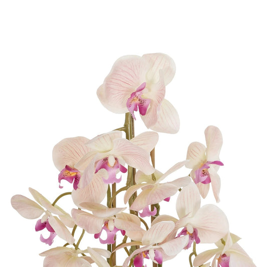 BUTTERFLY ORCHID BONSAI 21400 Τεχνητό Διακοσμητικό Φυτό Ορχιδέα Μ34 x Π27 x Υ65