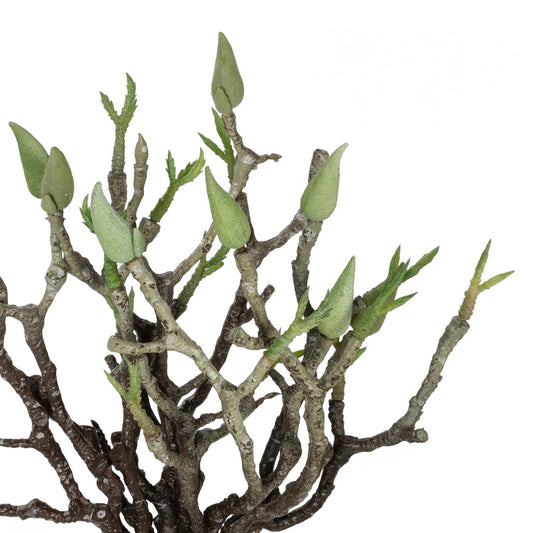 GREEN ORCHID BOUQET 21466 Τεχνητό Διακοσμητικό Μπουκέτο Πράσινη Ορχιδέα Y34cm