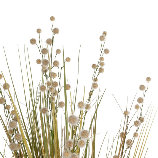 CRASPEDIA GRASS 21480 Τεχνητό Διακοσμητικό Φυτό Μπεζ & Πράσινο Κρασπέδια Μ90 x Π60 x Υ175