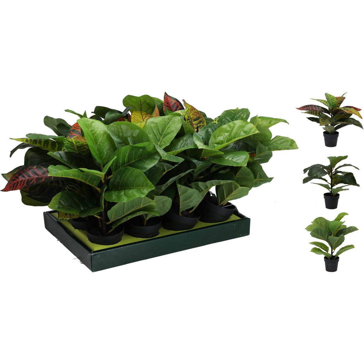 Γλαστράκι με Φυτό 30x38εκ 3 Σχδ