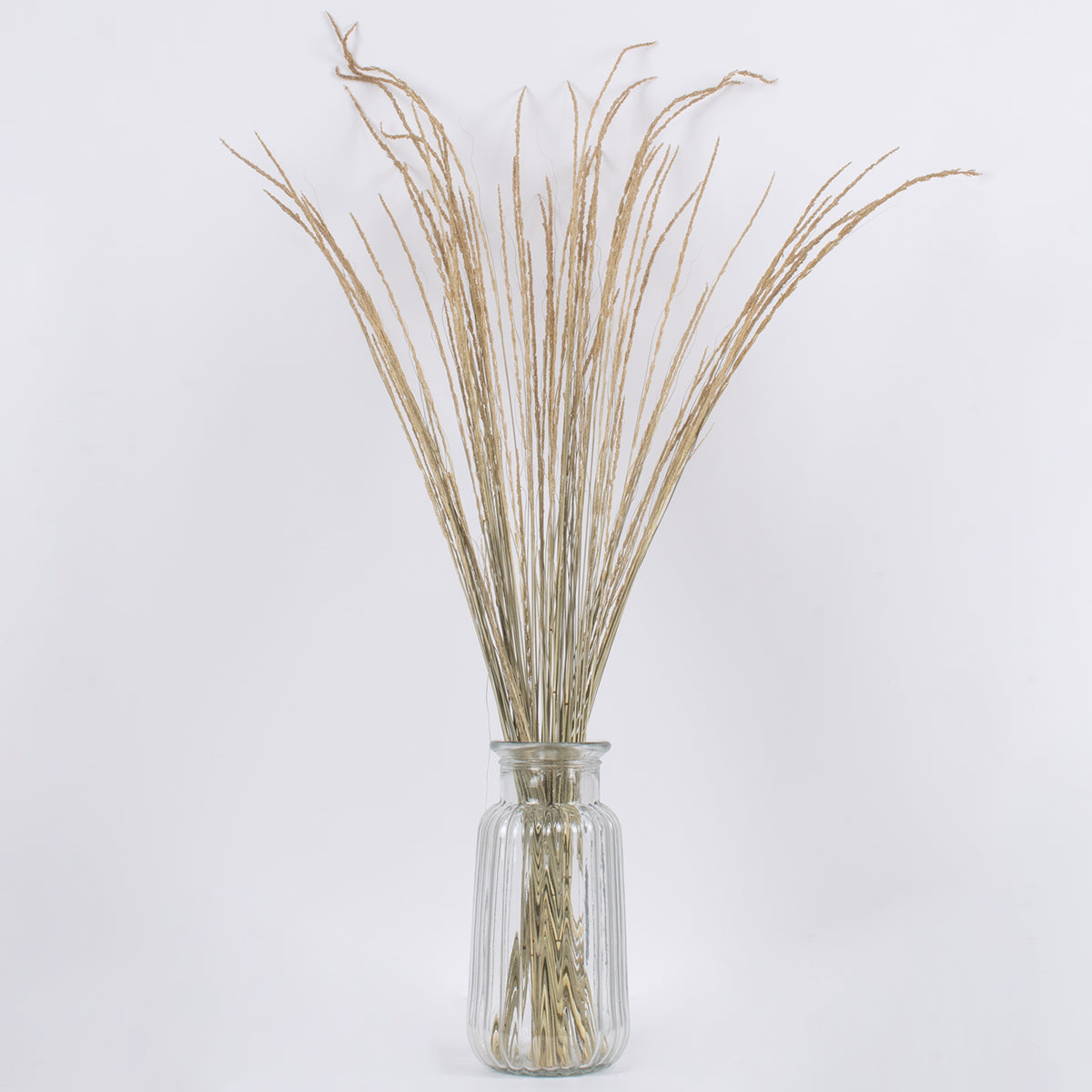 SMUTGRASS 36502 Αποξηραμένο Φυτό Χορταφιλιά - Μπουκέτο Διακοσμητικών Κλαδιών Μπεζ - Πράσινο Υ90cm