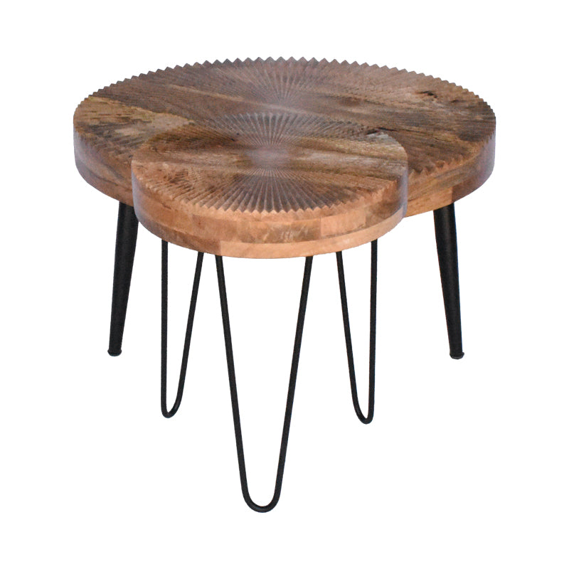 Lemia Coffee Tables Set of 2 Mango Wood in Natural Color with Black Metal Leg
