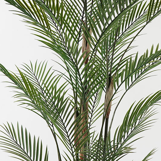 Διακοσμητικό Φυτό σε Γλάστρα Kwai Πράσινο Φ125x180