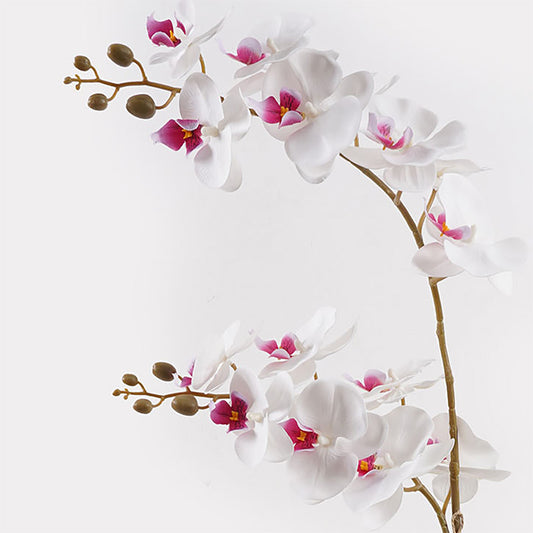 Διακοσμητικό Φυτό σε Γλάστρα Οrchid White 36x17x65