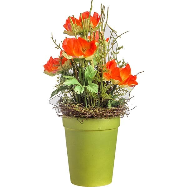 Γλαστράκι Παπαρούνα Πορτοκαλί 22εκ