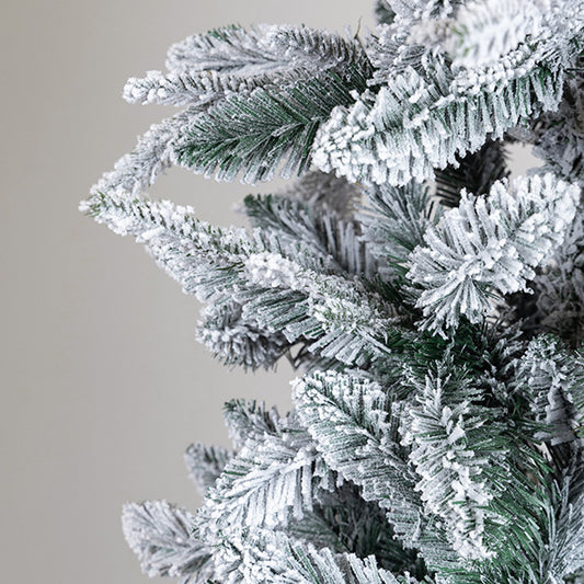 ΔΕΝΤΡΟ ΕΛΑΤΟ ΧΙΟΝΙΣΜΕΝΟ ΣΤΟΚΧΟΛΜΗ ΜΕ ΓΛΑΣΤΡΑΚΙ 73x73x210