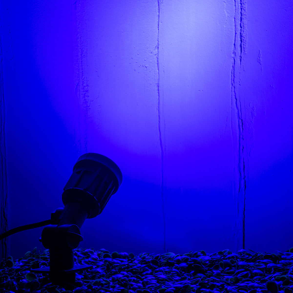 GARDENINI 61545 Καρφωτό Φωτιστικό Σποτ Κήπου LED 5W 550lm 38° DC 24V IP68 Υψηλής Αντοχής ABS IK06 Φ5.5 x Υ13.5cm - Μπλε 450nm Dimmable - Μαύρο - Bridgelux Chip