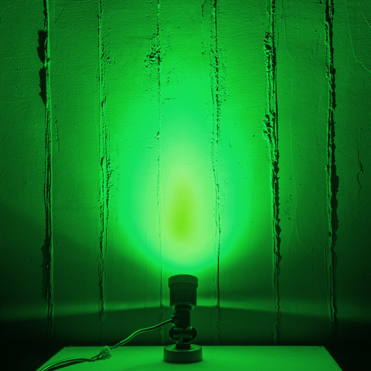 GARDENINI 61547 Επιφανειακό Φωτιστικό Σποτ Κήπου LED 5W 550lm 38° DC 24V IP68 Υψηλής Αντοχής ABS IK06 Φ7 x Υ14.5cm - Πράσινο 550nm Dimmable - Μαύρο - Bridgelux Chip