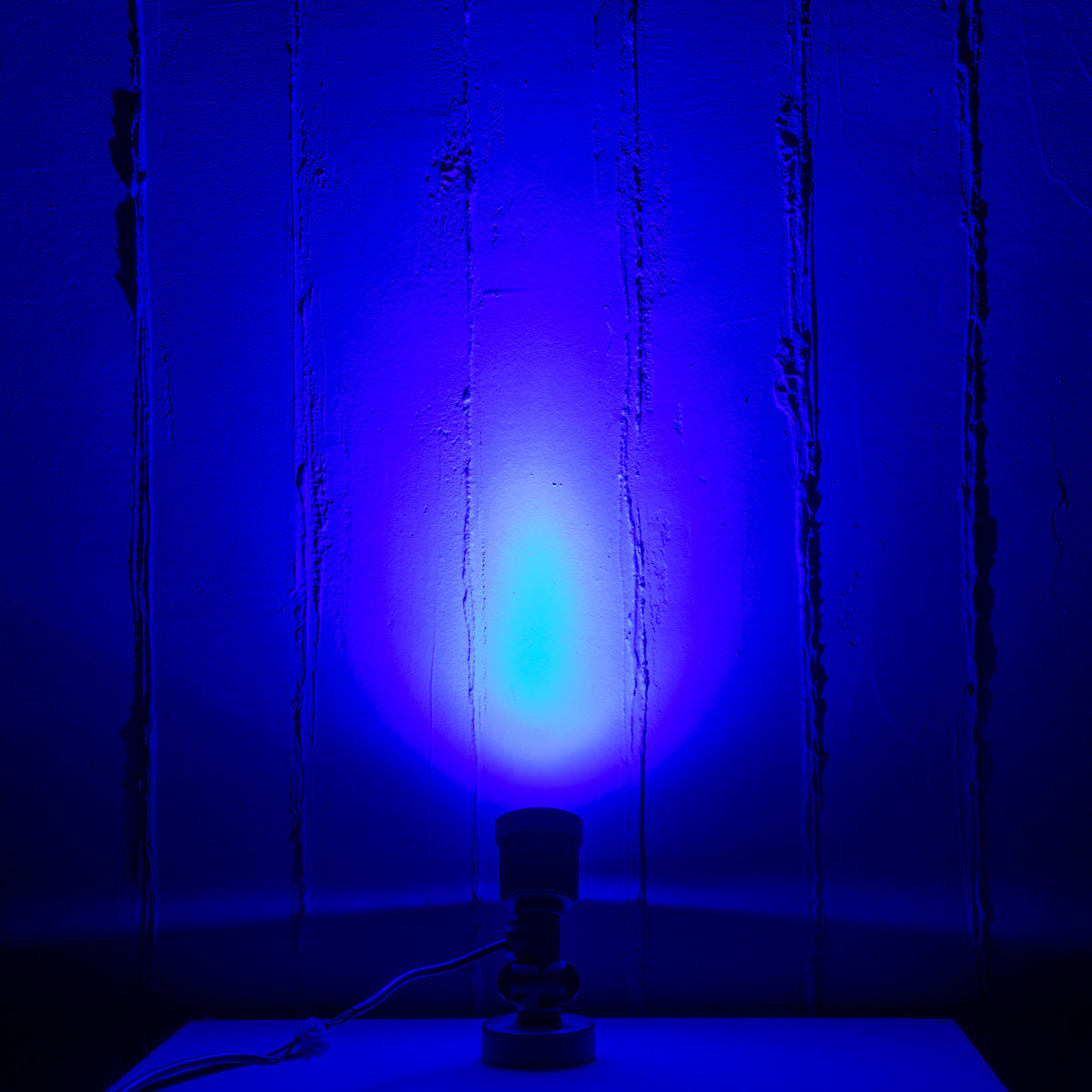 GARDENINI 61548 Επιφανειακό Φωτιστικό Σποτ Κήπου LED 5W 550lm 38° DC 24V IP68 Υψηλής Αντοχής ABS IK06 Φ7 x Υ14.5cm - Μπλε 450nm Dimmable - Μαύρο - Bridgelux Chip