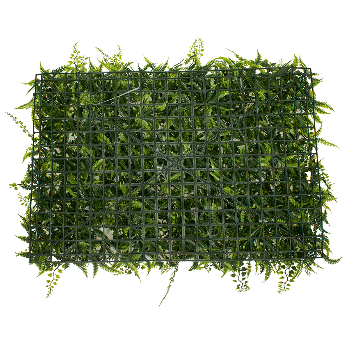 FERN 78402 Τεχνητό Πάνελ Φυλλωσιάς / Κάθετος Κήπος Νάνος Φτέρη, Νάνος Κισσός & Νάνος Δάφνη - Πράσινο - Μ60 x Π9 x Υ40