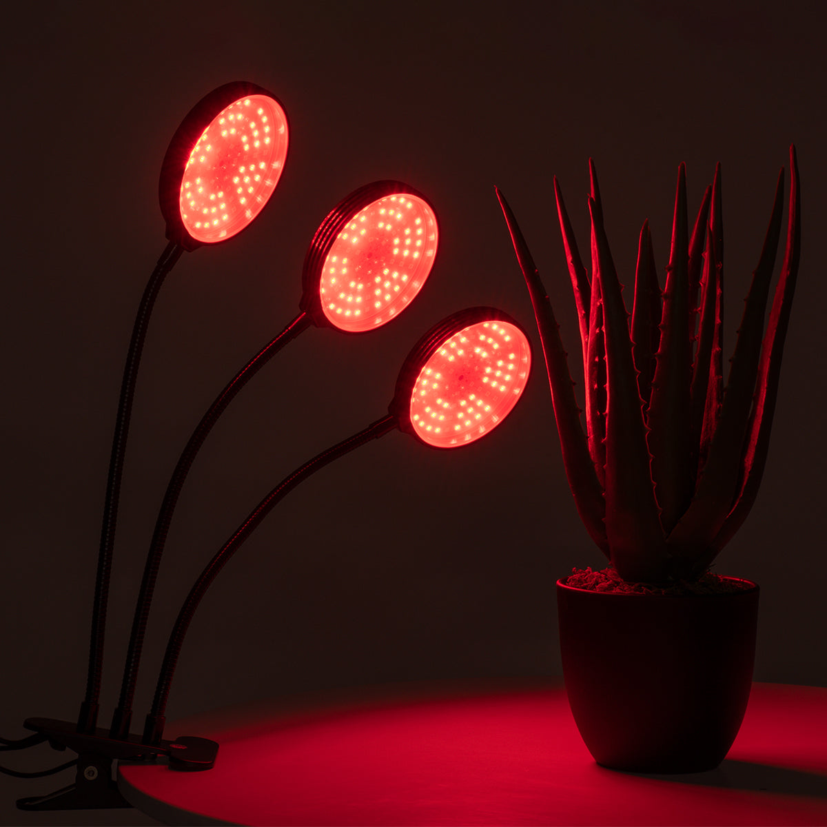 79652 Grow Light Full Spectrum LED Φωτιστικό Ανάπτυξης Φυτών Γλάστρας με 3 Κινούμενες Κεφαλές & Βάση Clip SMD 2835 15W 160° DC 5V IP20 με Dimmer & Timer Εσωτερικού Χώρου για Κάλυψη Επιφάνειας 1m x 1m Πλήρους Φάσματος Φωτισμού