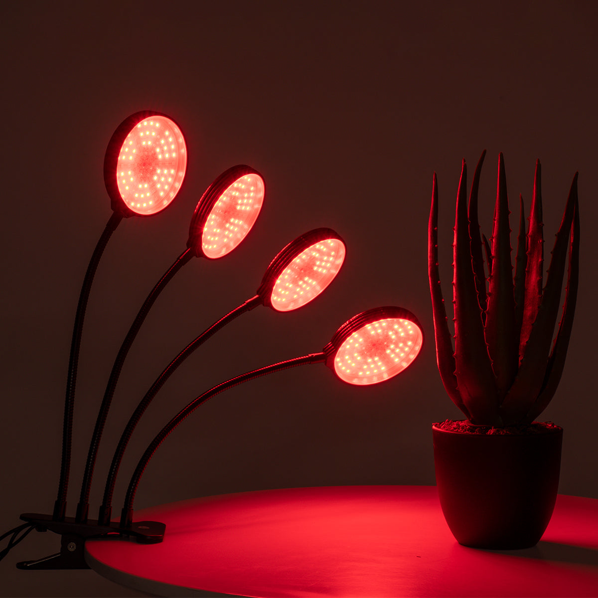 79654 Grow Light Full Spectrum LED Φωτιστικό Ανάπτυξης Φυτών Γλάστρας με 4 Κινούμενες Κεφαλές & Βάση Clip SMD 2835 20W 160° DC 5V IP20 με Dimmer & Timer Εσωτερικού Χώρου για Κάλυψη Επιφάνειας 1m x 1m Πλήρους Φάσματος Φωτισμού