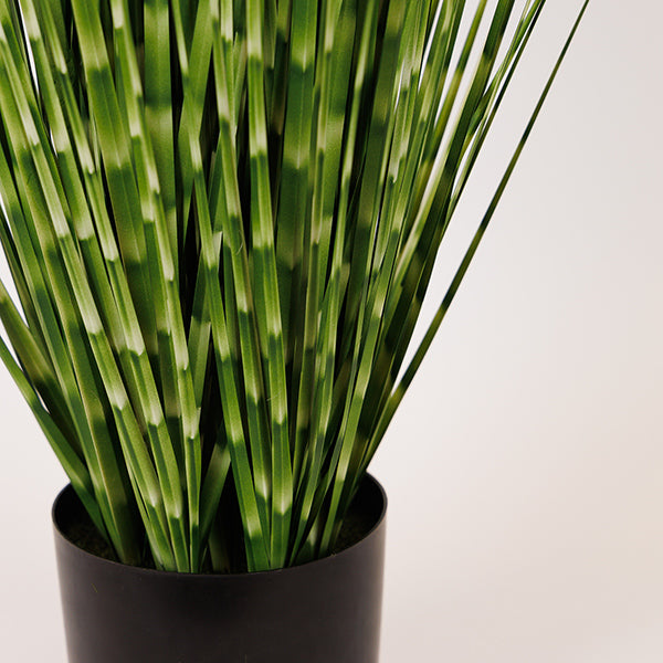 ΦΥΤΟ ΓΡΑΣΙΔΙ ΣΕ ΓΛΑΣΤΡΑ ΠΛΑΣΤΙΚΟ ΠΡΑΣΙΝΟ 92εκ