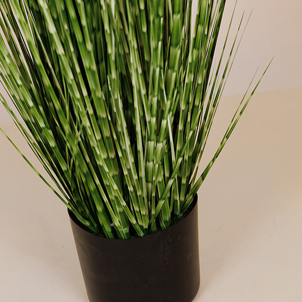 ΦΥΤΟ ΓΡΑΣΙΔΙ ΣΕ ΓΛΑΣΤΡΑ ΠΛΑΣΤΙΚΟ ΠΡΑΣΙΝΟ 153εκ