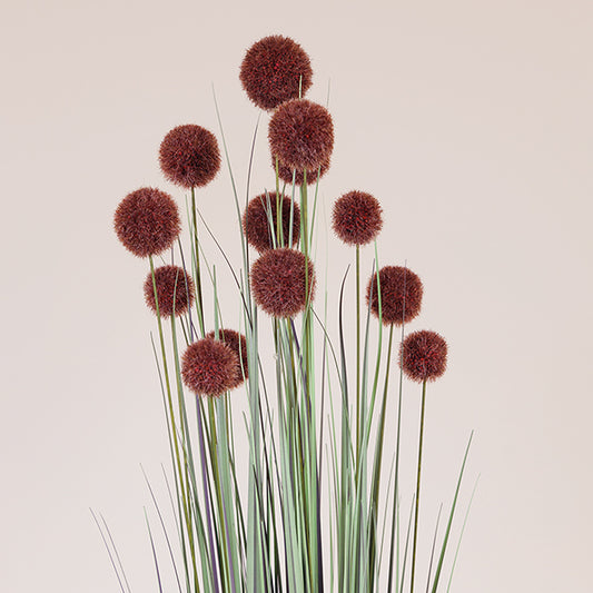 ΦΥΤΟ ΓΡΑΣΙΔΙ ΜΕ ΡΟΖ ΠΟΜΠΟΝ ΣΕ ΓΛΑΣΤΡΑ ΠΛΑΣΤΙΚΟ 122εκ