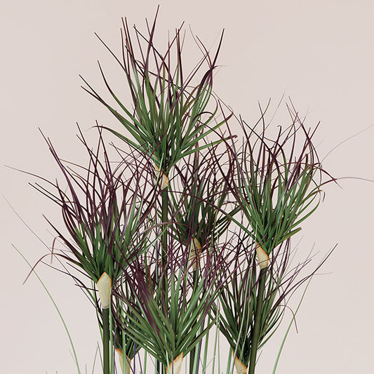 ΦΥΤΟ ΓΡΑΣΙΔΙ ΜΕ ΡΟΖ ΑΝΘΟΣ ΣΕ ΓΛΑΣΤΡΑ ΠΛΑΣΤΙΚΟ 122εκ