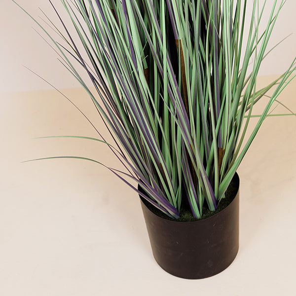 ΦΥΤΟ ΓΡΑΣΙΔΙ ΣΕ ΓΛΑΣΤΡΑ ΠΛΑΣΤΙΚΟ 183εκ