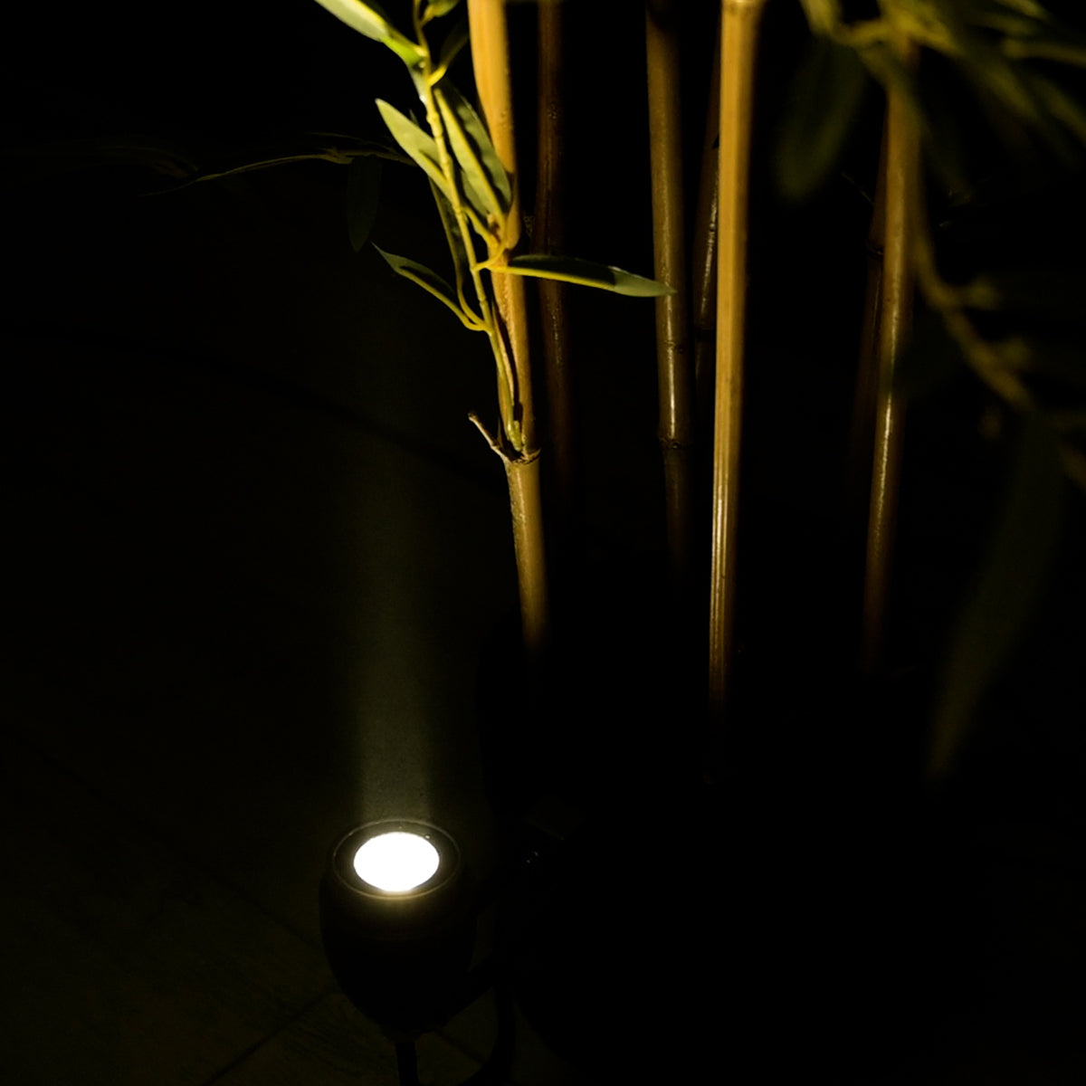 TREELIGHT-TREEGAL 90462 Σποτ Φωτισμού Ειδικό για Φυτά - Δέντρα με Βάση Μπετού & Κορμού LED 3W 345lm 15° DC 24V Αδιάβροχο IP67 Φ5 x Υ14.7cm Φυσικό Λευκό 4500K - Γκρι Ανθρακί