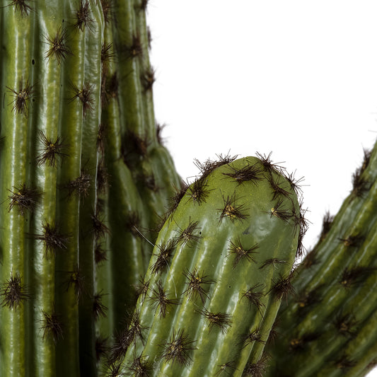 CARNEGIEA CACTUS 20100 Τεχνητό Διακοσμητικό Φυτό Κάκτος Σαγκουάρο Υ63cm