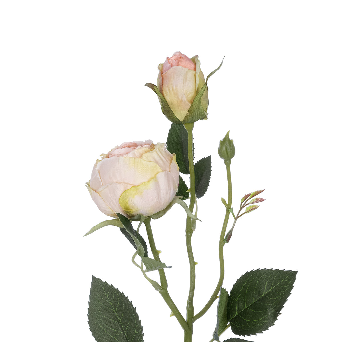 CHAMPAGNE DAMASK CLIMBING ROSE BRANCH 21198 Τεχνητό Διακοσμητικό Κλαδί Τριαντάφυλλο Σαμπανιζέ Y55cm