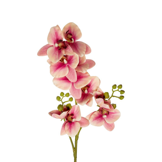 CHAMPAGNE PINK ORCHID BRANCH 21411 Τεχνητό Διακοσμητικό Κλαδί Σαμπανί Ορχιδέα Y70εκ
