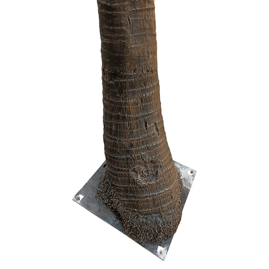 COCONUT PALM TREE 20442 Τεχνητό Διακοσμητικό Φοινικόδεντρο Κοκοφοίνικας Εξωτερικού Χώρου IP68 UV Certified Protection Υ400cm