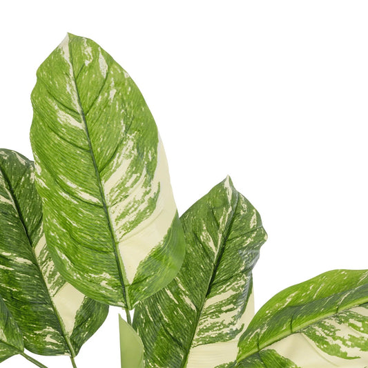 DIEFFENBACHIA 20941 Τεχνητό Διακοσμητικό Φυτό Πράσινη & Μπεζ Διφενμπάχια Μ80 x Π80 x Υ90