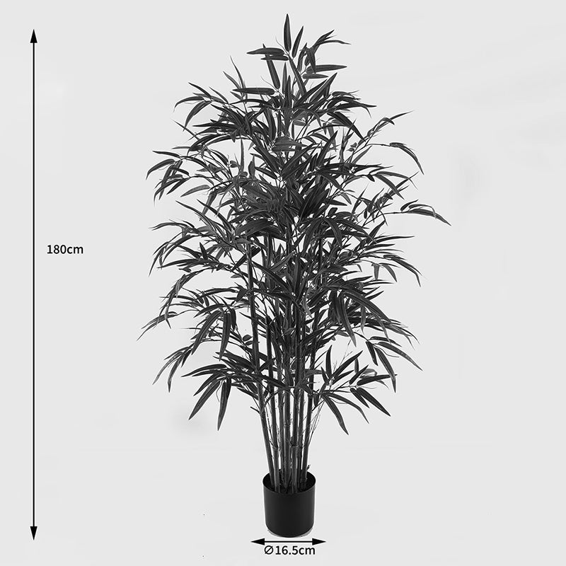 Διακοσμητικό Φυτό σε Γλάστρα Rhapis Palm Πράσινο Φ80x180