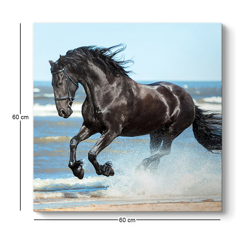 Πίνακας σε Καμβά "Black Horse" Ψηφιακής Εκτύπωσης 60x60x3