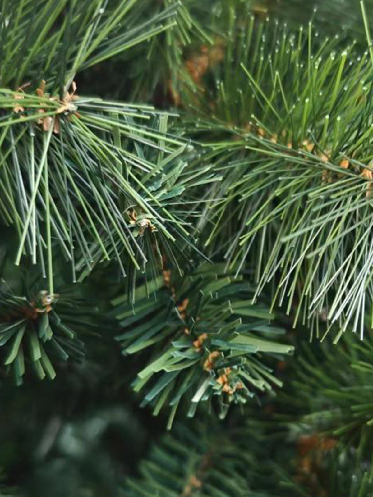 Χριστουγεννιάτικο Δέντρο Pine Πράσινο 210εκ