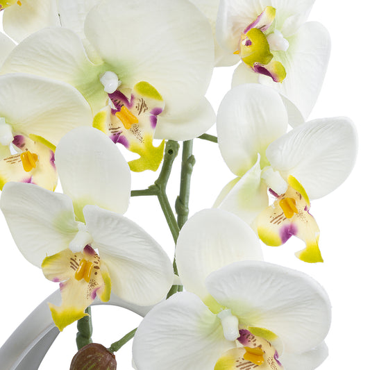 WHITE ORCHID 21128 Διακοσμητικό Φυτό Λευκή Ορχιδέα Υ39cm