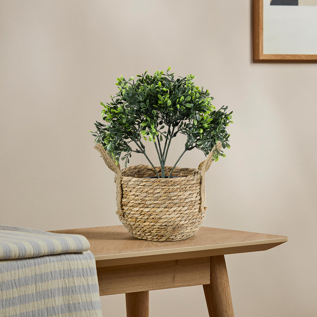 PAROS 20275 Διακοσμητικό Πλεκτό Καλάθι - Κασπώ Γλάστρα - Flower Pot Μπεζ Φ19cm x Υ15cm