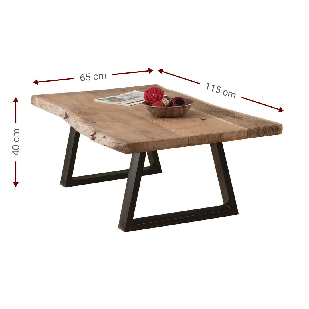 Rama Coffee Table 115x65x40