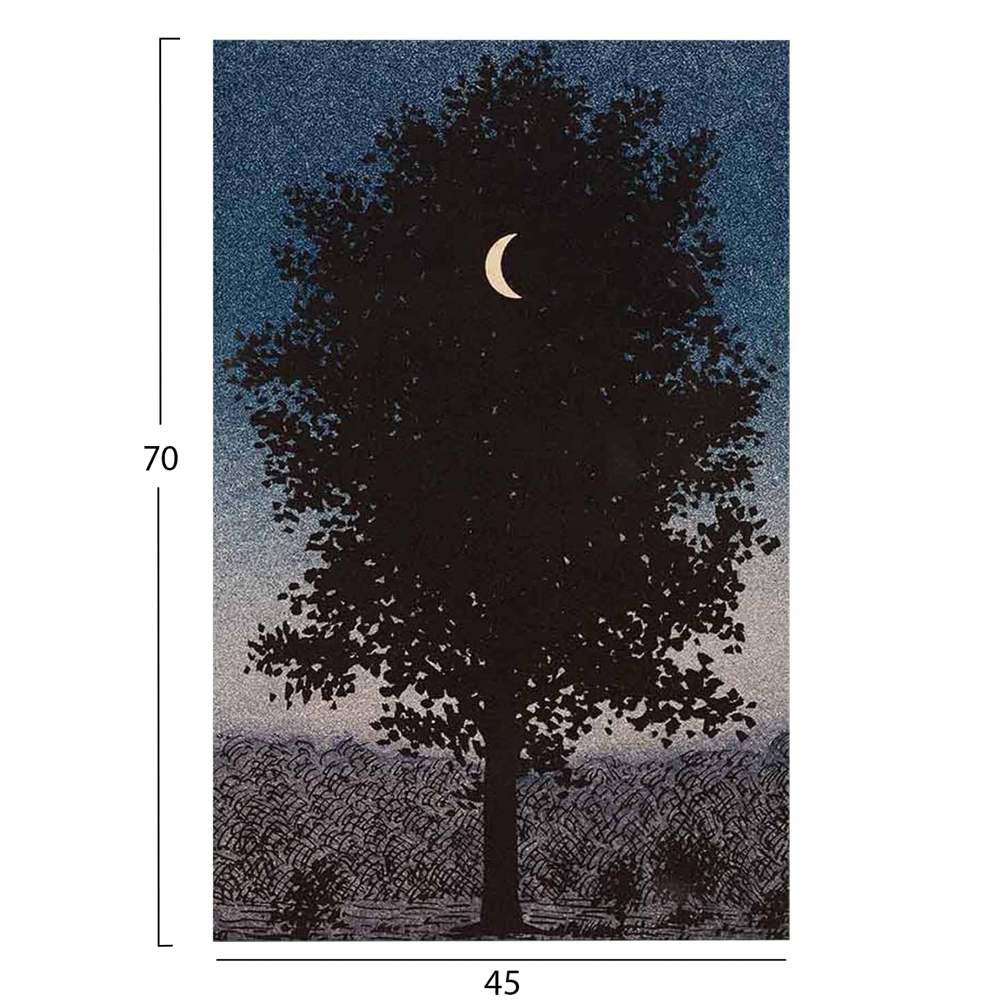 ΠΙΝΑΚΑΣ TOIXOY GOBI ΕΚΤΥΠΩΜΕΝΟΣ ΚΑΜΒΑΣ 45x3x70