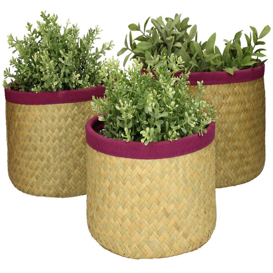 Κασπώ Μοβ Seagrass 27x27x17 Σετ 3 Τμχ