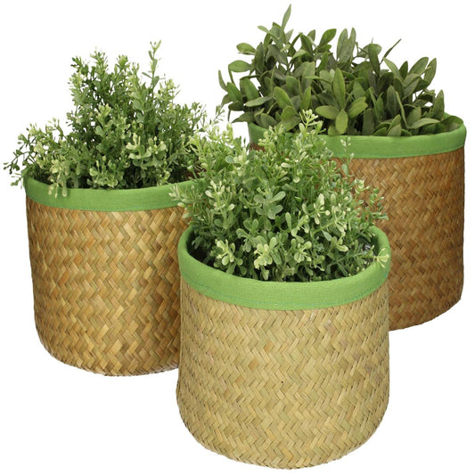 Κασπώ Μέντα Seagrass 27x27x17 Σετ 3 Τμχ