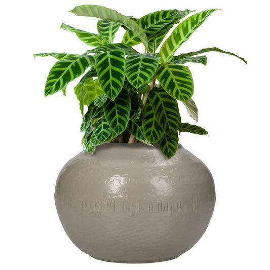 Βάζο Αλουμινένιο Εκρού 15x15x11