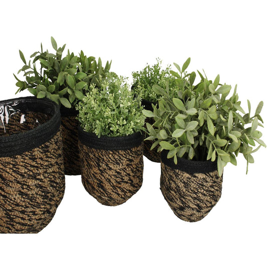 Κασπώ Μαύρο Γιούτα 21x21x15 Σετ 5 Τμχ