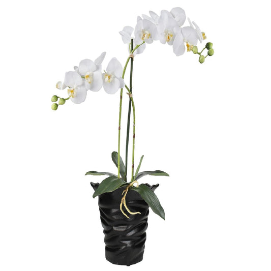 Κασπώ Κεραμικό Μαύρο 20x19x18