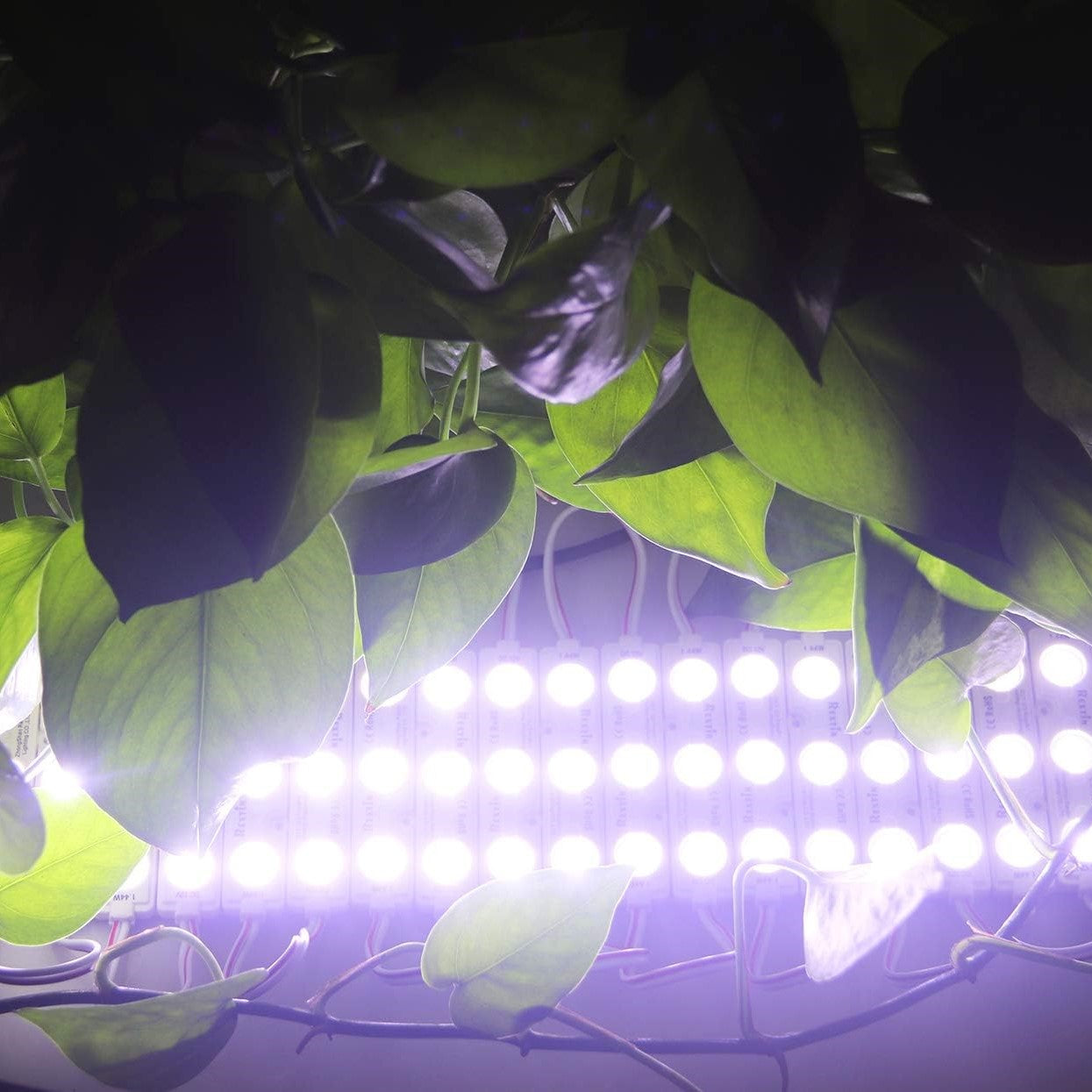LED Modules & Chips – P Kontopoulos